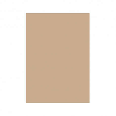 carton-color-160g-mp-a4-maro-hazelnut.png