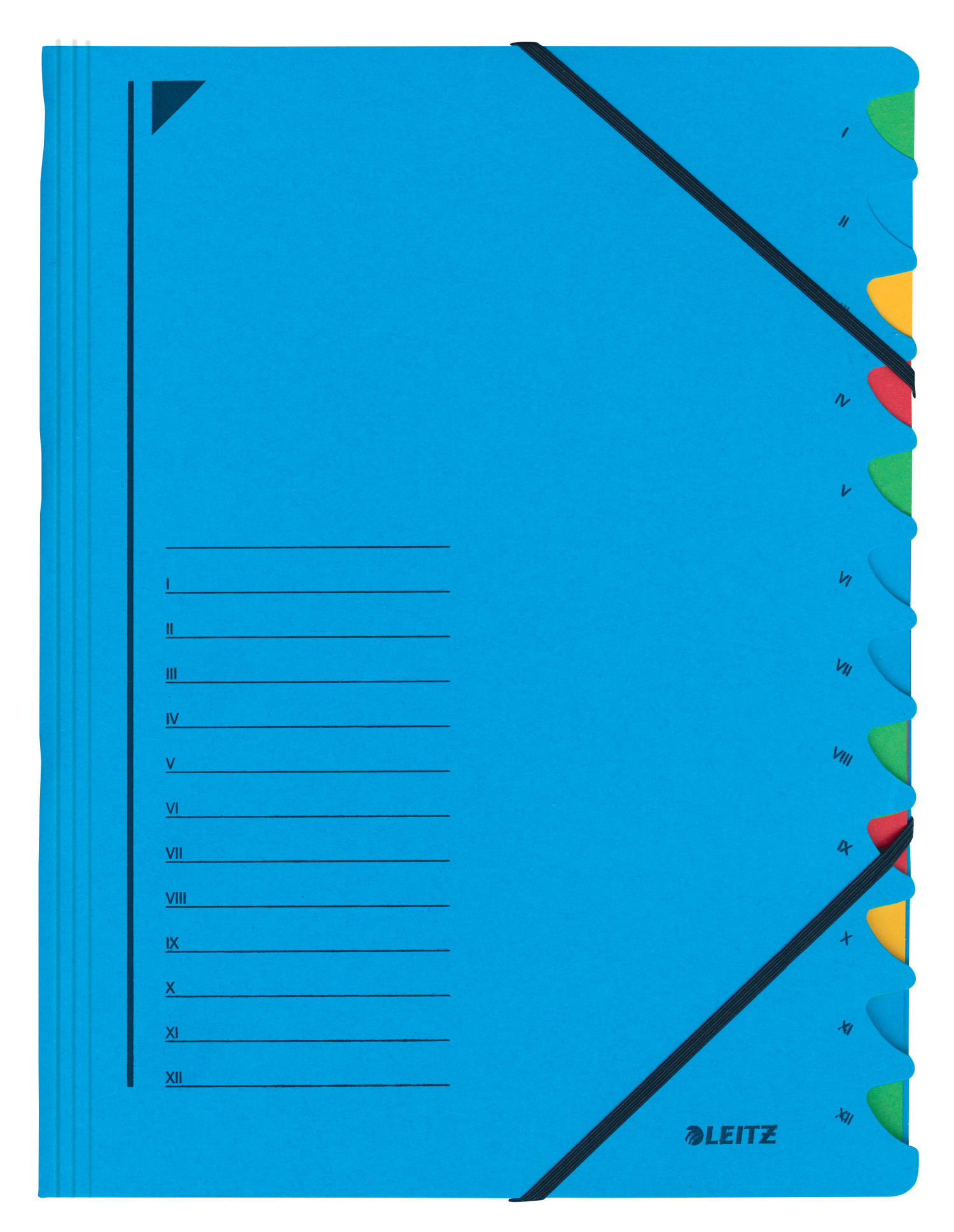 mapa-carton-cu-elastic-12-separatoare-fashion-leit_3662088_1_16349069275599.jpg